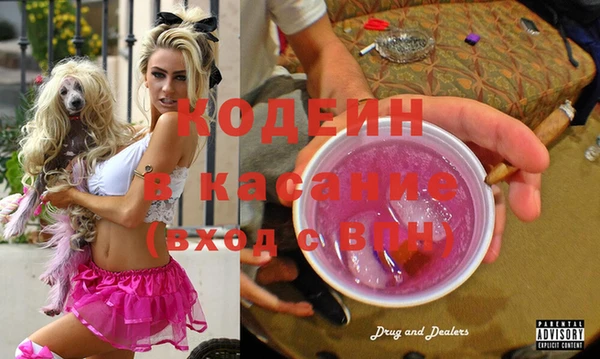 эйфоретик Баксан