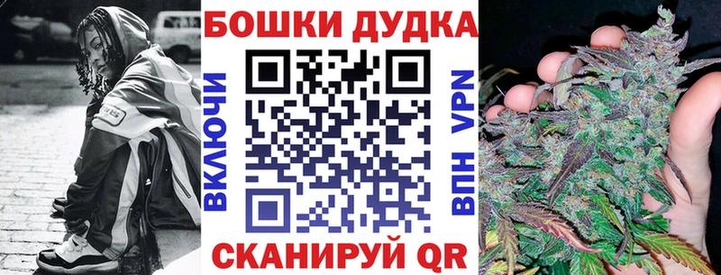 Марихуана план  Щёкино 